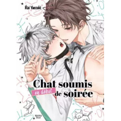 CHAT SOUMIS EN DEBUT DE SOIREE