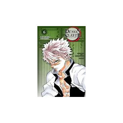 DEMON SLAYER - Édition Pilier - Tome 06