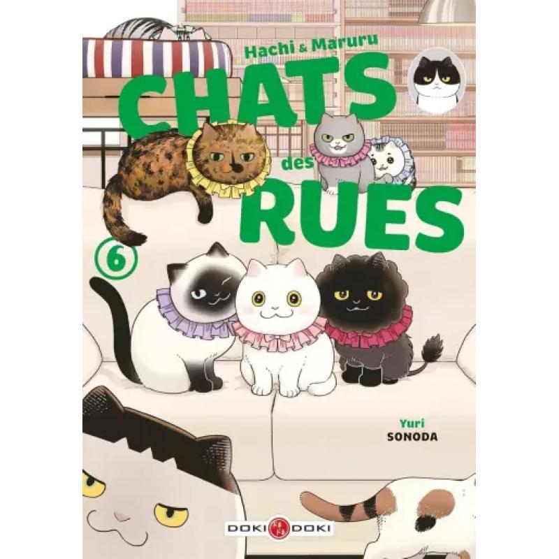 HACHI ET MARURU - CHATS DES RUES - Tome 06