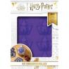 HARRY POTTER - KIT DE PATISSERIE - CHOCOGRENOUILLES