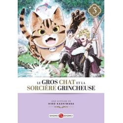 LE GROS CHAT ET LA SORCIERE GRINCHEUSE - Tome 03