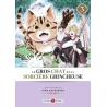 LE GROS CHAT ET LA SORCIERE GRINCHEUSE - Tome 03