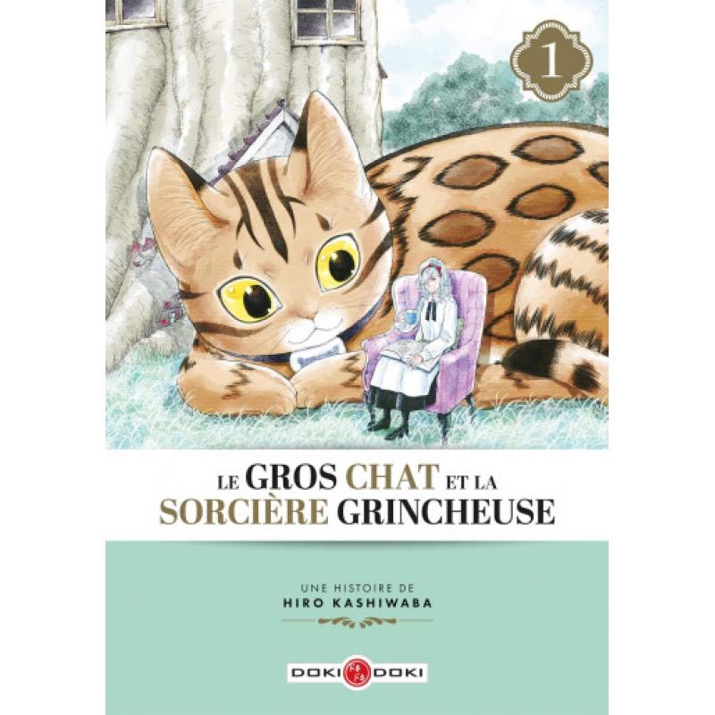 LE GROS CHAT ET LA SORCIERE GRINCHEUSE - Tome 01