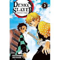 DEMON SLAYER - Tome 03