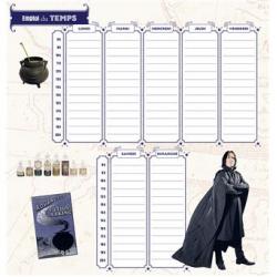 HARRY POTTER - Frigobloc mensuel 2026 (jan. 26 - déc. 26) 