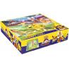 POKEMON - COFFRET ACADEMIE DE COMBAT - V2