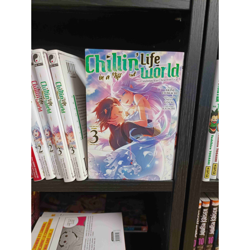 CHILLIN' LIFE IN A DIFFERENT WORLD - Tome 03