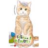 FELIN POUR L'AUTRE - Tome 04